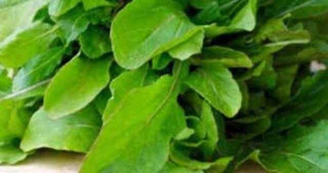 الخيار والطماطم أبرزهم.. 7 خضروات تقوي جهازك المناعى