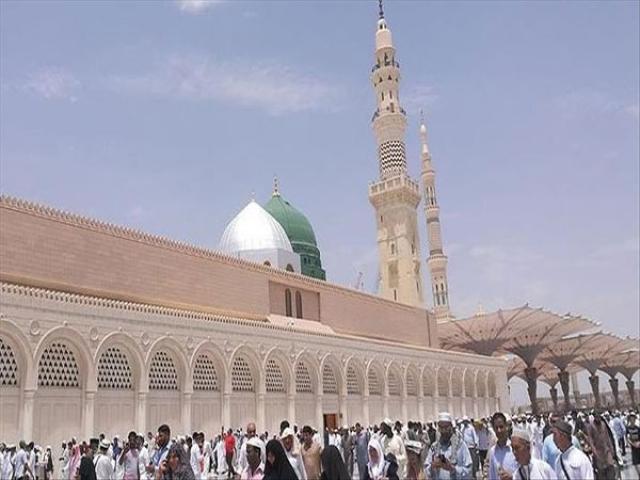 ارشيفية