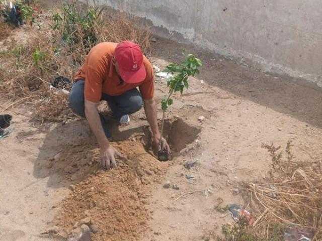 انطلاق مبادرة المصريين الأحرار لتشجير وتجميل أسوان