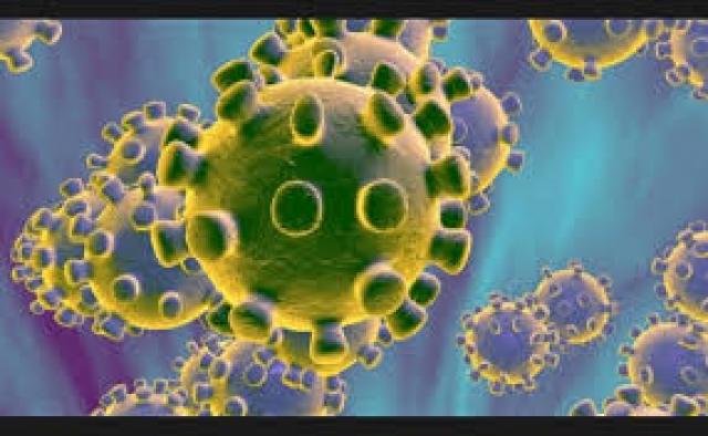 كورونا-أرشيفية