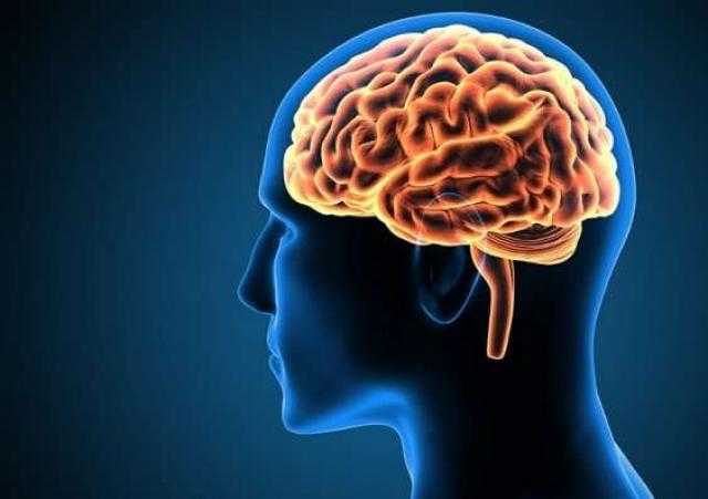اكتشاف منطقة في المخ تقلل الشعور بالألم لدى الإنسان
