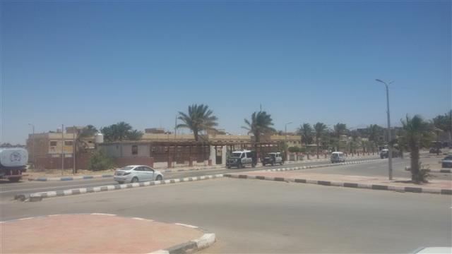 ارشيفية 