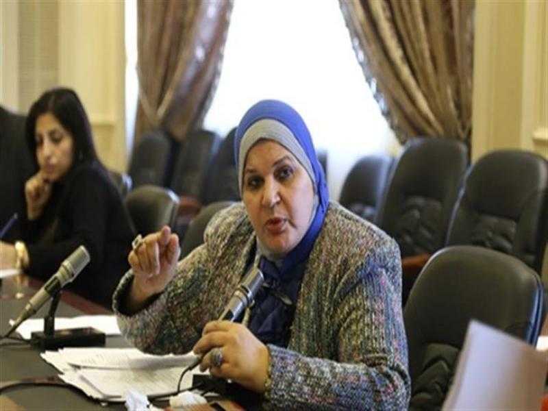 برلمانية: الشعب المصري قادر على مواجهة أكاذيب الجماعة الإرهابية