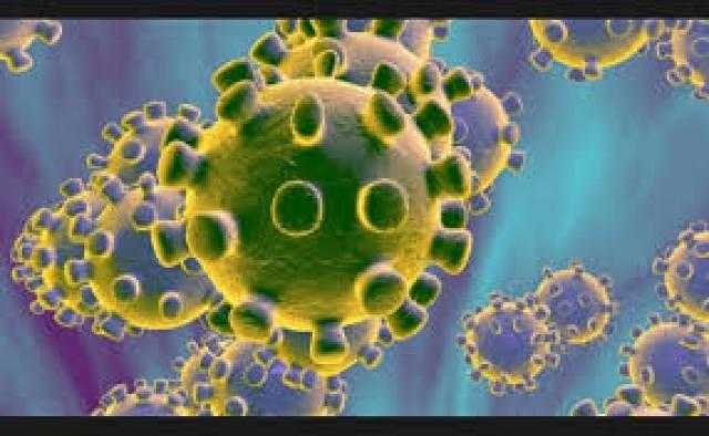 أستاذ أمراض جرثومية: نلاحظ انخفاضا في انتشار كورونا حول العالم