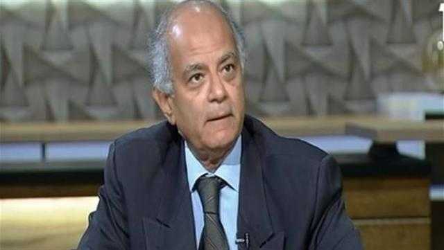 حسين هريدي: مصر واجهت ضغوط هائلة لإجهاض ثورة يوني.. وصوتها عاد مسموعا بالمحافل الدولية .. فيديو