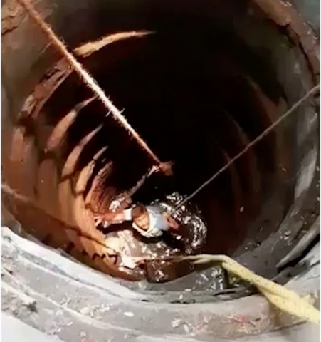 مسن ثمانيني يعرض حياته للخطر لإنقاذ قطة