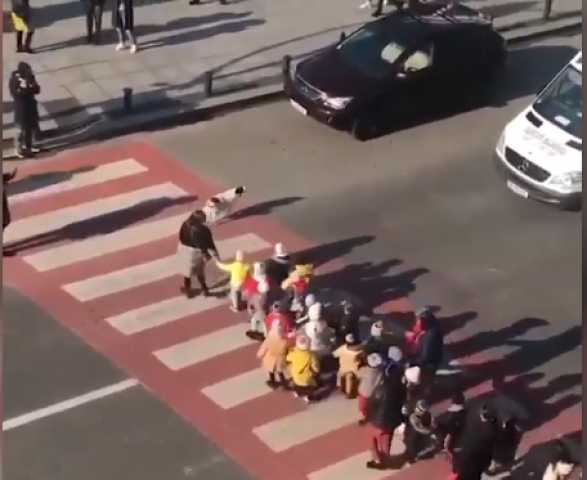 كلب يقود رحلة مدرسية للأطفال ويعبر بهم الطريق
