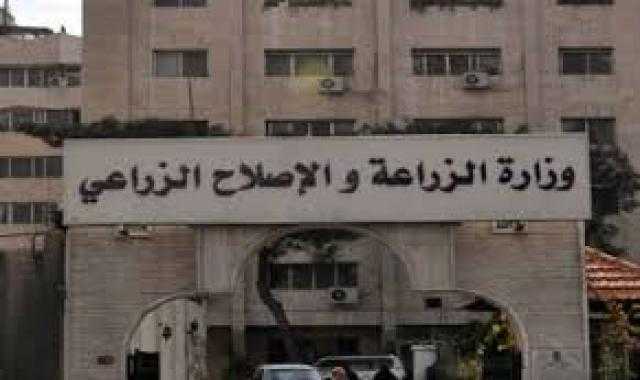 كيف استطاعت مصر الوصول إلى عمق أفريقيا زراعيًا؟ الزراعة توضح
