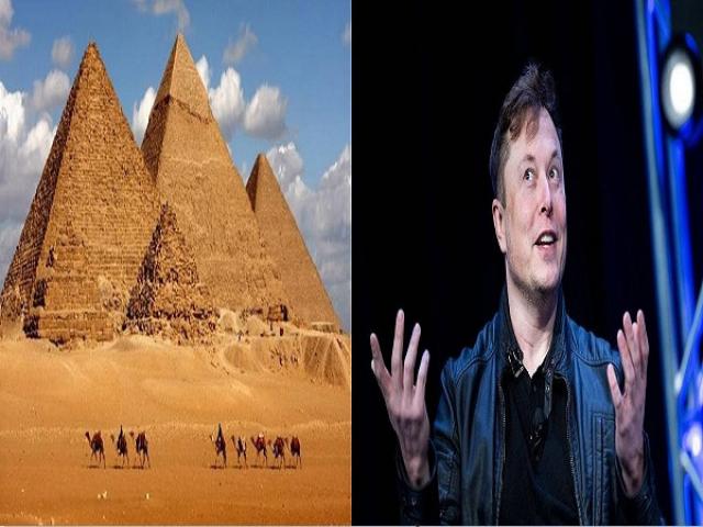 إيلون ماسك