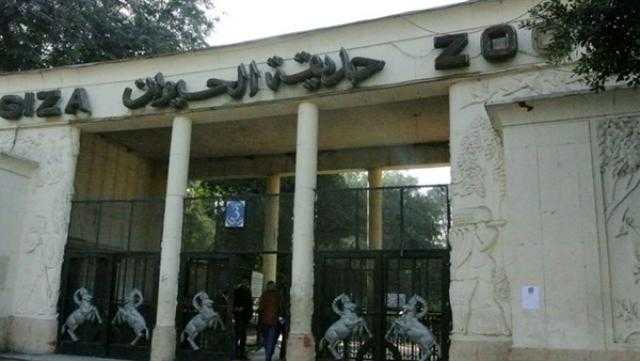 حقيقة فتح أبواب حديقة حيوان الجيزة بعد عيد الأضحى.. فيديو