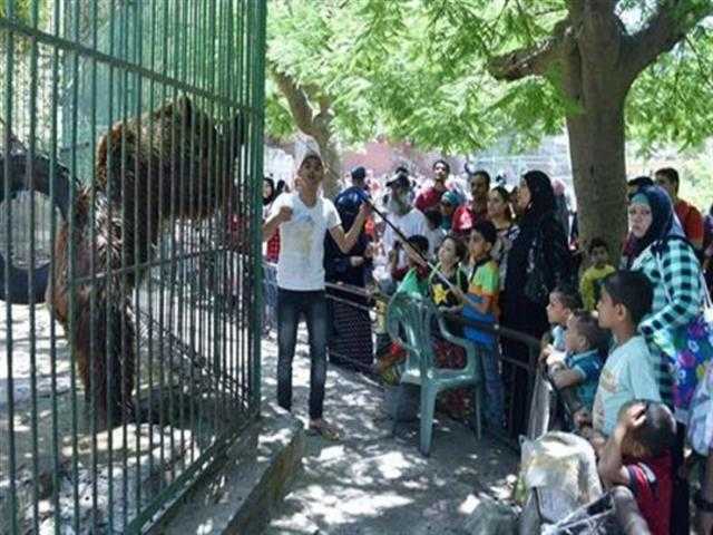 بإجراءات احترازية.. فتح جميع حدائق الحيوان بالجيزة والمحافظات غدا