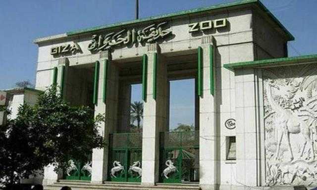 حديقة الحيوان تشهد إقبالًا كبيرًا يتجاوز 70 ألف زائر يوميًا