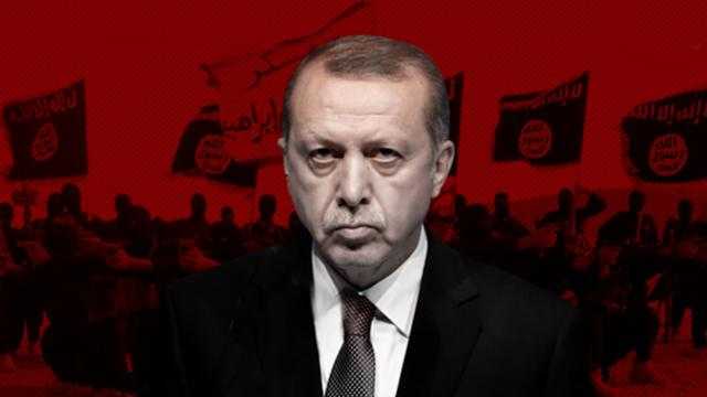 محمد موسى تصريحات أردوغان عن كرامة المواطن التركي لـ«الاستهلاك المحلي» (فيديو)
