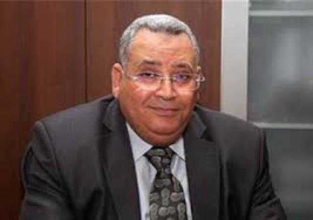 عبد الله النجار : «من يزعم أن مصر تهدم المساجد أشك في أنه من المصلين» (فيديو)