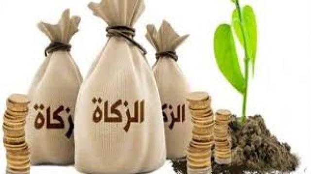 حكم إعطاء زكاة مالي لصديقي العاطل عن العمل.. الإفتاء توضح