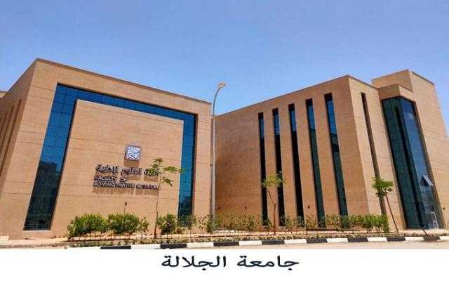 أستاذ بطب الجلالة: توأمة مع جامعة أمريكية قريبا.. وقدوم 15 متخصصا من اليابان.. فيديو