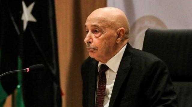 رئيس النواب الليبي يدعو إلى إجراء الانتخابات في أقرب وقت