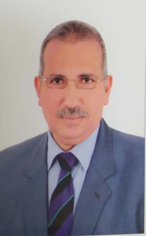 عادل عامر