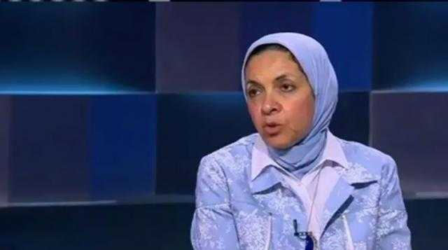 يمن الحماقي: المشروعات القومية ستعظم الاستثمارات