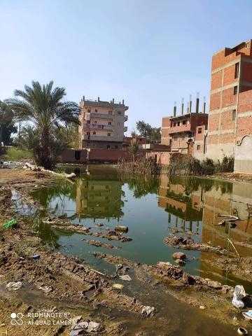 بالصور.. قرية المعصرة بالدقهلية تغرق في مياه الصرف