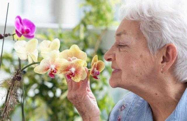 أبحاث: تراجع كفاءة حاسة الشم لدى الكبار قد يؤدي إلى مخاطر الوفاة