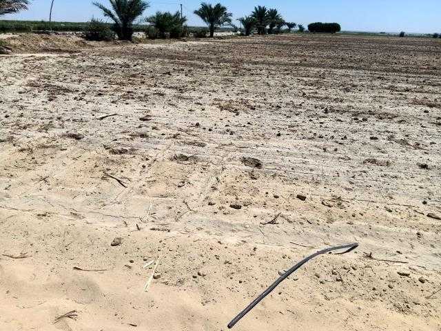 بالصور .. 2400 فدان بالفيوم مهددة بالبوار.. والأهالي يستغيثون