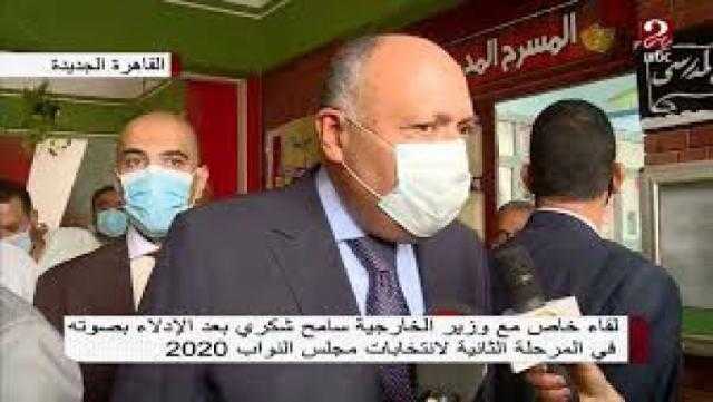 وزير الخارجية: المشاركة في الانتخابات البرلمانية واجب وطني