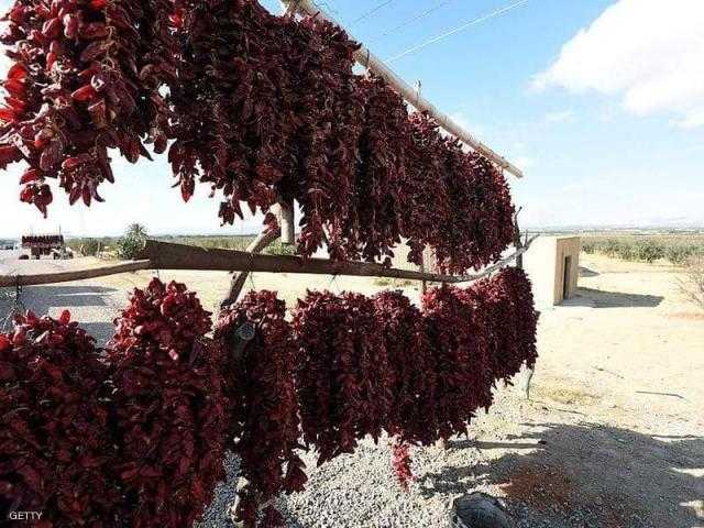 ”الهريسة التونسية”.. تراث غذائي في مواجهة برودة الطقس