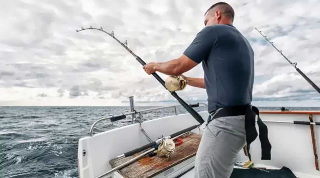 استئناف أنشطة الصيد والملاحة في كفر الشيخ