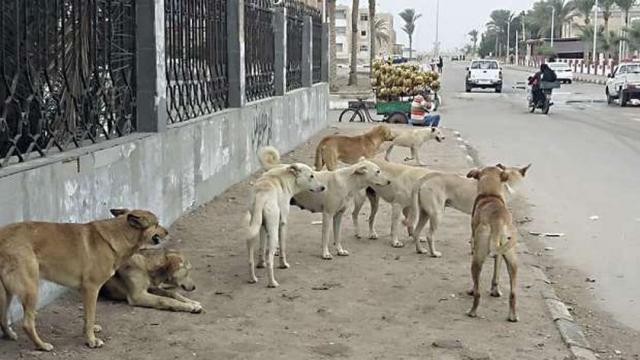 خط أحمر