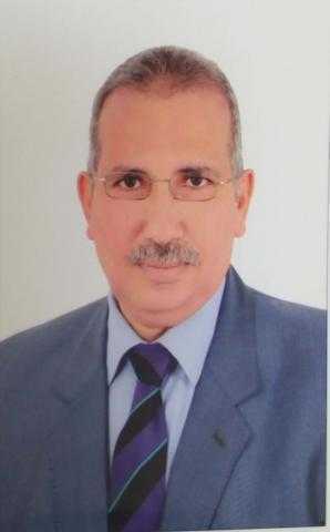 الدكتور عادل عامر يكتب: التنمية الشاملة وبناء مجتمع جديد  