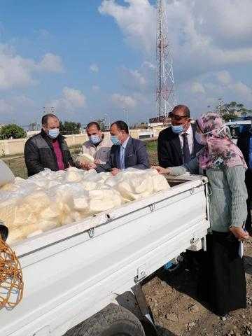ضبط 16 ألف وحدة زريعة بلطي محملة على سيارة في البرلس بكفر الشيخ