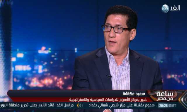 سعيد عكاشة: البرلمان الأوروبي غير موضوعي.. والأنظمة العربية تنتهج سياسة إصلاحية.. فيديو