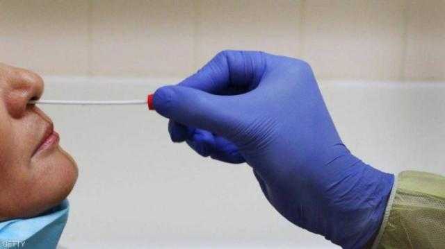 طبيب مناعة: 40% من مصابي كورونا بدون أعراض