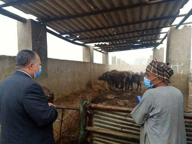 محافظ أسيوط : استكمال خطة تطوير مزارع الثروة الحيوانية