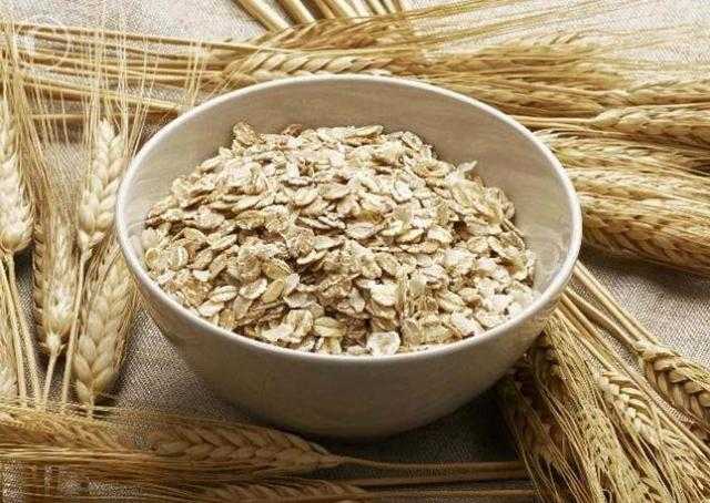 طبيب تغذية يوضح فوائد تناول الشوفان للجسم