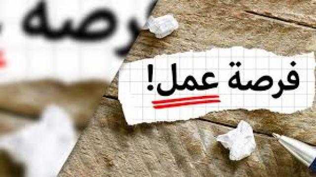 «التضامن» تواصل تلقي الطلبات على الوظائف الشاغرة في 21 جامعة