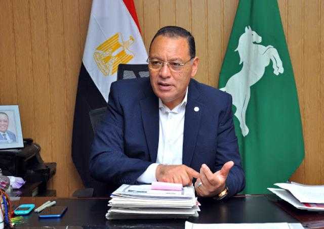 محافظ الشرقية يُتابع مشروعات الكهرباء بأولاد صقر ومشتول السوق