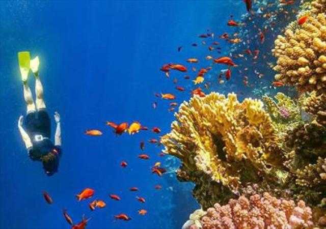 مصر بين أفضل الوجهات السياحية للسائح التشيكي