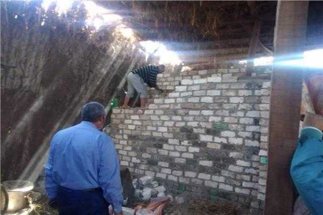 محافظ القليوبية يوجه بإزالة مخالفات بناء بكفر شكر