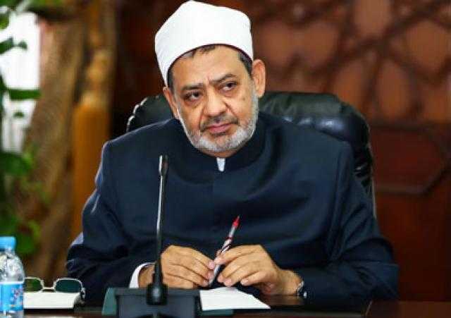 شيخ الأزهر لسفير بلجيكا: وثيقة الأخوة الإنسانية دليل استرشادي للسلام العالمي