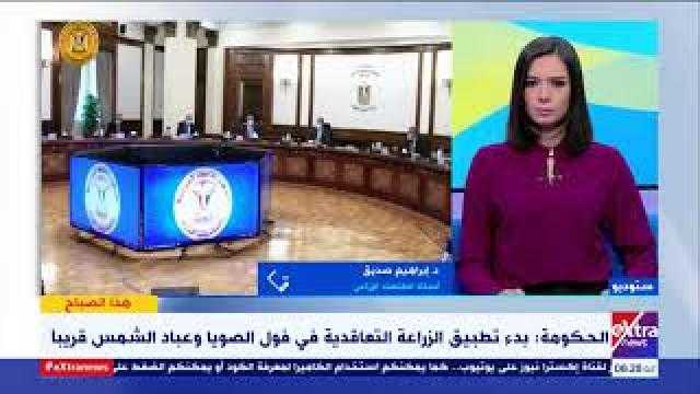 أستاذ اقتصاد: تطبيق الزراعة التعاقدية في فول الصويا وعباد الشمس قريبًا