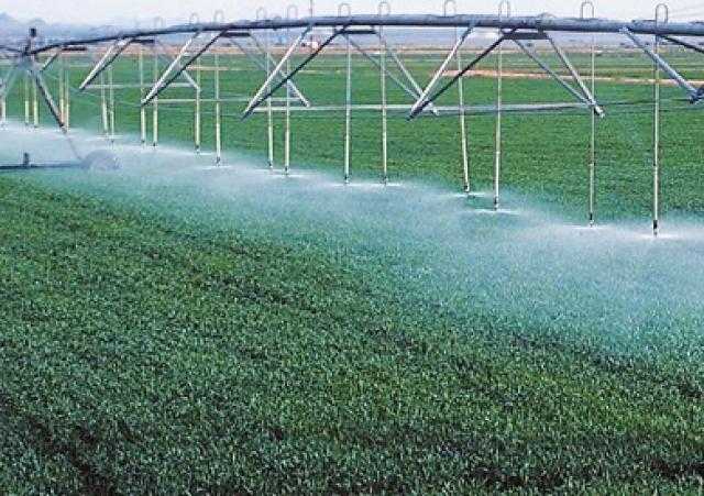 فيديو.. الزراعة: تحديد وسيلة الري الحديث تختلف حسب المحصول