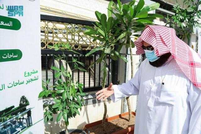 الشيخ السديس يدشن ”مبادرة تشجير الساحات المحيطة بالمسجد الحرام”