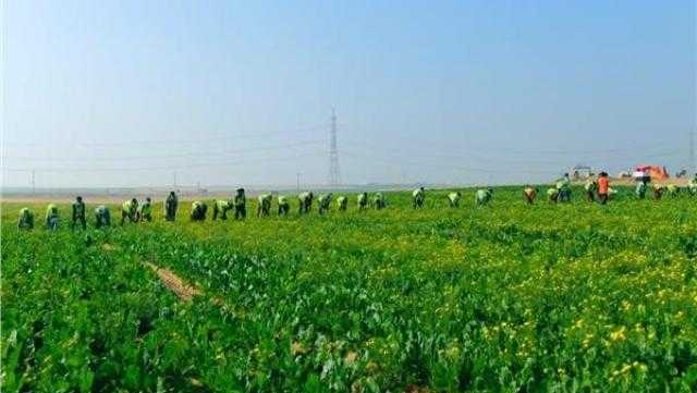 أبرزها زيارة الوزير لجنوب السودان.. تعرف على أنشطة «الزراعة» خلال أسبوع