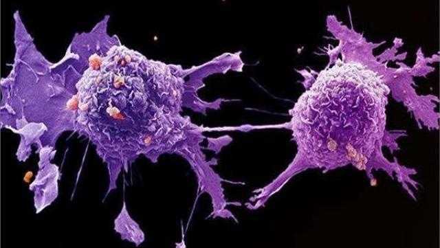 أستاذ علم الأوبئة يوجه تحذيرًا بشأن الموجة الثالثة من كورونا