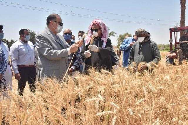 محافظ أسيوط يعلن توريد 7166 طن قمح لصوامع وشون المحافظة وحصاد 3500  فدان حتى الآن