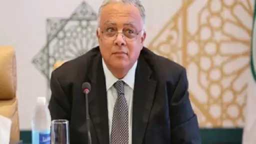 السفير إيهاب جمال الدين: حقوق الإنسان نابعة من قيمنا العربية والإسلامية