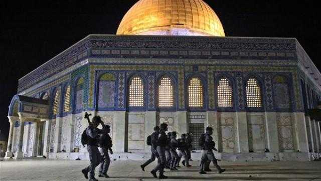 خبير: القضية الفلسطينية بحاجة إلى موقف عربي مباشر وإجراءات واضحة.. فيديو