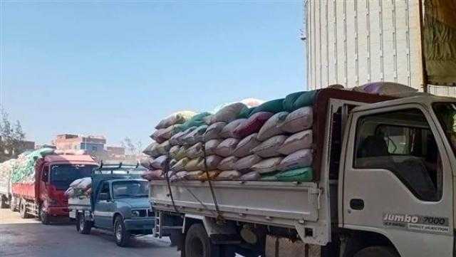 توريد 151 ألفًا و278 طن قمح لصوامع وشون كفر الشيخ